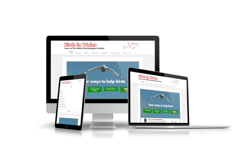 Birds In Wales Website Design North Wales Example